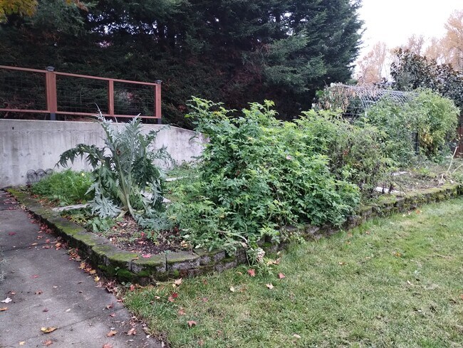 916 E Temperance St, Unit A in Kent, WA - Building Photo - Building Photo