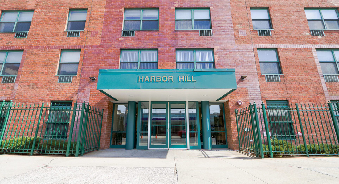 Harbor Hill Senior Apartments in Brooklyn, NY - Building Photo