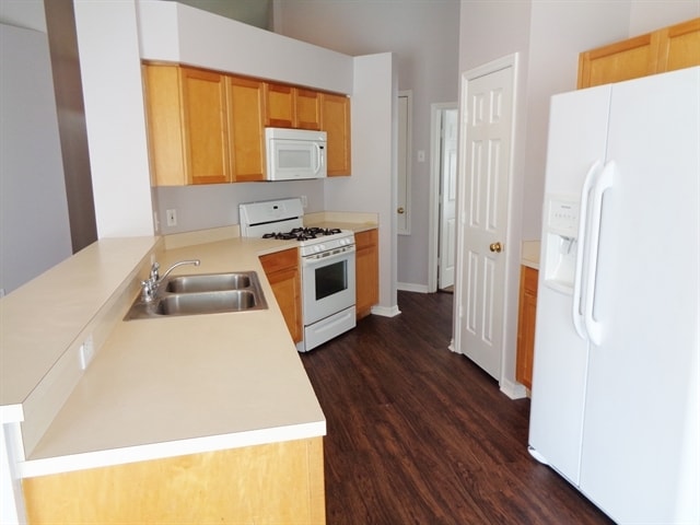 3823 Lockridge Dr in Land O Lakes, FL - Foto de edificio - Building Photo