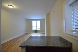 1428 N Dearborn in Chicago, IL - Building Photo - Building Photo