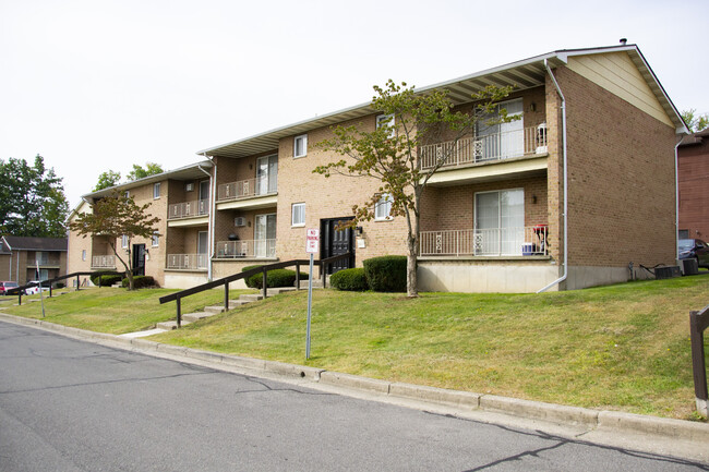 Squire Colony in Endicott, NY - Foto de edificio - Building Photo