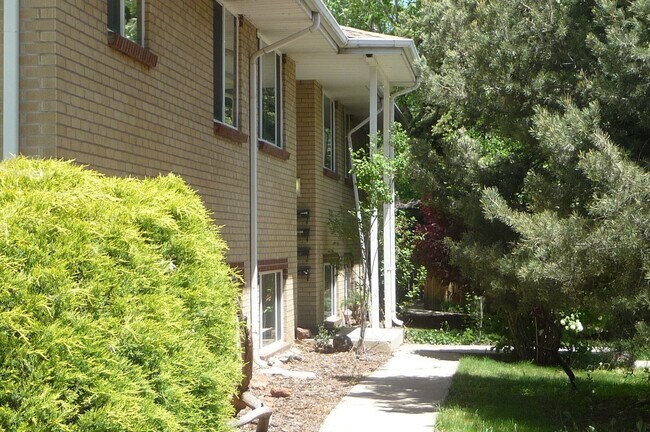 715.5 Illinois St in Evergreen, CO - Building Photo - Building Photo