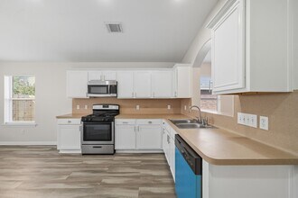 1735 Riane Ln in Houston, TX - Building Photo - Building Photo