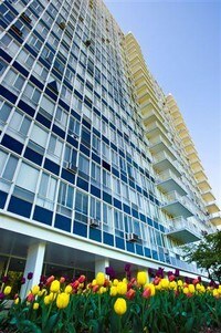 Lake Meadows Apartments - Lake Meadows Apartments in Chicago, Illinois