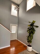 2305 Blanche Ln in Champaign, IL - Building Photo - Building Photo