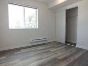 12544 15th Ave NE in Seattle, WA - Building Photo - Building Photo