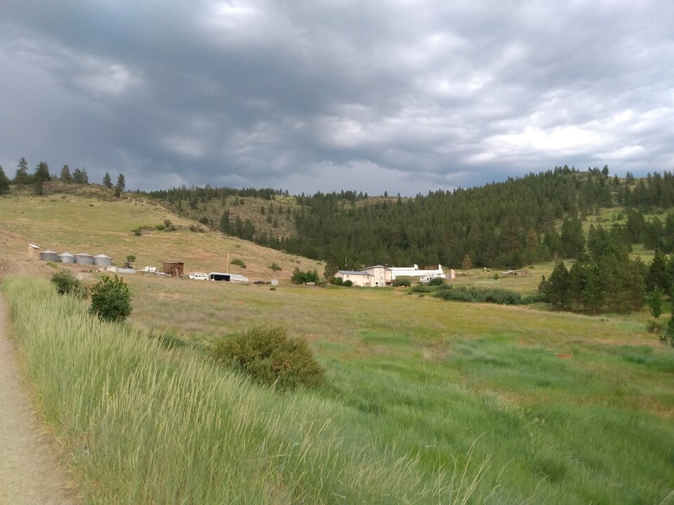 20 Hackle Lane in Plains, MT - Building Photo