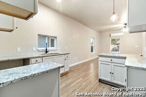 1010 W Lynwood Ave in San Antonio, TX - Foto de edificio - Building Photo