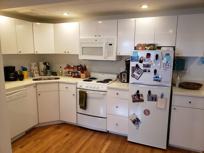 15 Euston Rd, Unit 6 in Boston, MA - Building Photo - Building Photo