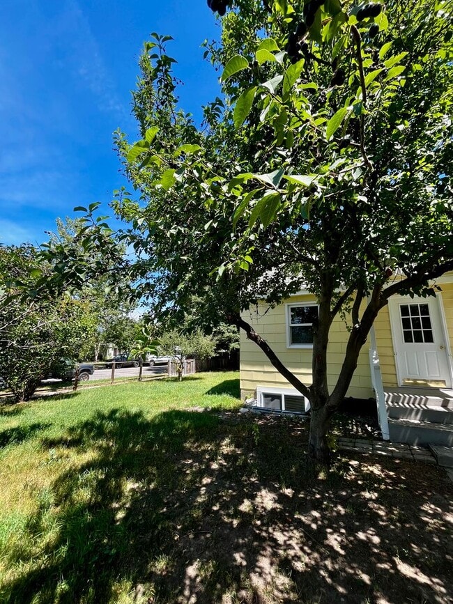 304 S 12th Ave in Bozeman, MT - Building Photo - Building Photo