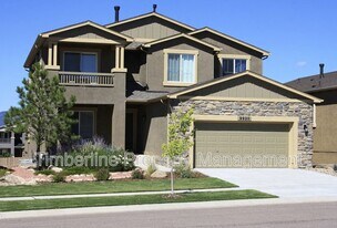 9920 Paonia Park Pl in Colorado Springs, CO - Building Photo