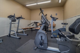 Doral Club Apartments in San Antonio, TX - Foto de edificio - Building Photo