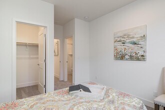 10431 Arnado St in Elk Grove, CA - Building Photo - Building Photo