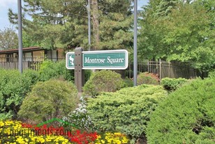 Montrose Square Apartments