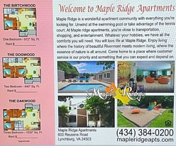 600 Reusens Rd in Lynchburg, VA - Building Photo