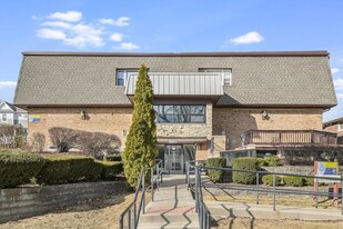 1039 College Ave, Unit 1E in Wheaton, IL - Building Photo