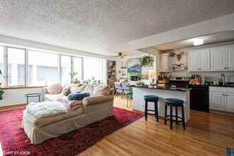 801 S Plymouth Ct in Chicago, IL - Building Photo - Building Photo