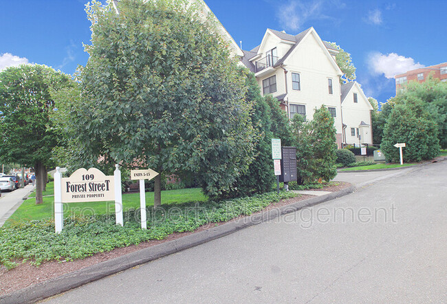 property at 109 Forest St