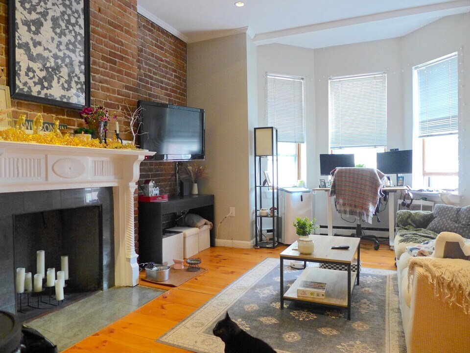 247 W Newton St in Boston, MA - Building Photo