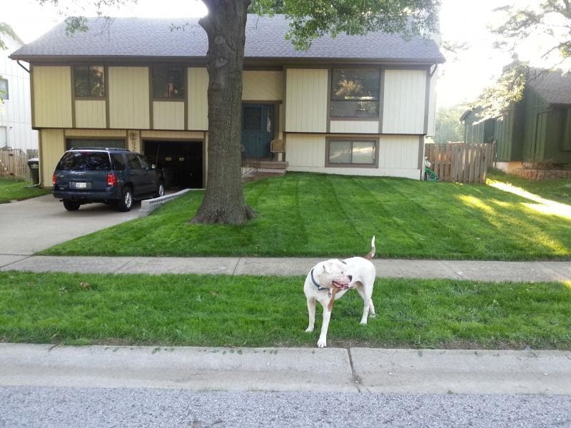 9206 Greenway Ln in Lenexa, KS - Building Photo