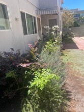 128 S Hayworth Ave, Unit Hayworth Avenue Unit #6 in West Hollywood, CA - Building Photo - Building Photo