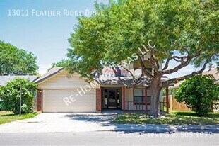 13011 Feather Ridge Dr in San Antonio, TX - Building Photo