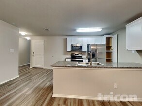 2423 Pechora Pipit in New Braunfels, TX - Foto de edificio - Building Photo