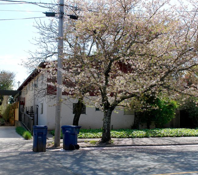 424 Matheson St in Healdsburg, CA - Building Photo - Building Photo