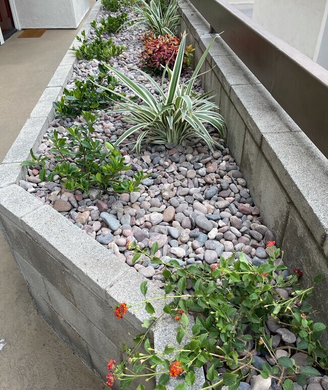 1110 E Wilson Ave in Glendale, CA - Building Photo - Building Photo