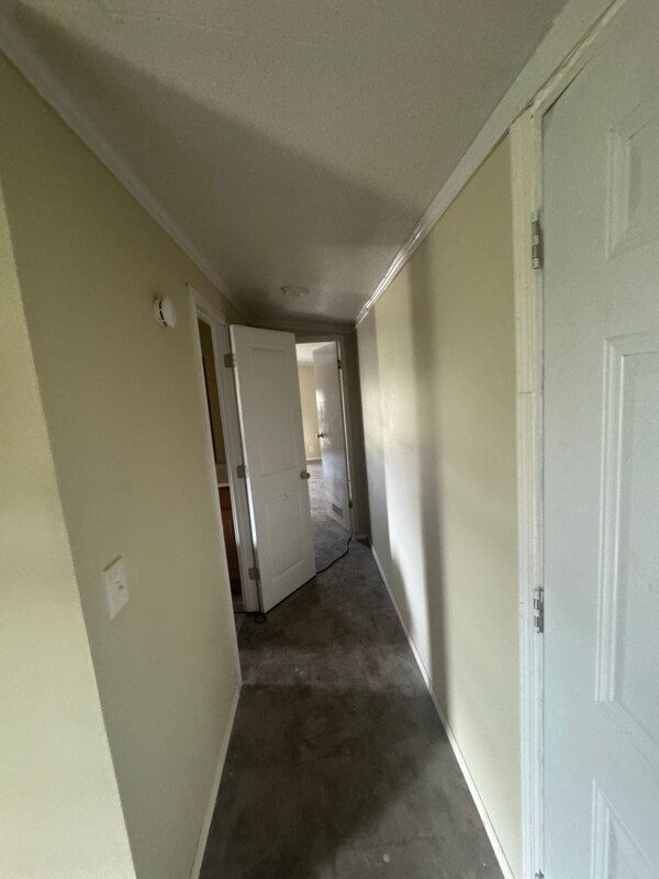 14063 Bradley Rd in Atascosa, TX - Building Photo - Building Photo