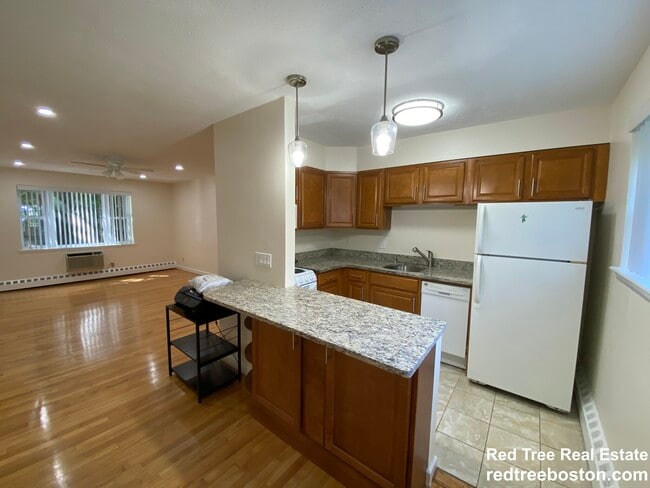 59 Parkman St in Brookline, MA - Building Photo - Building Photo