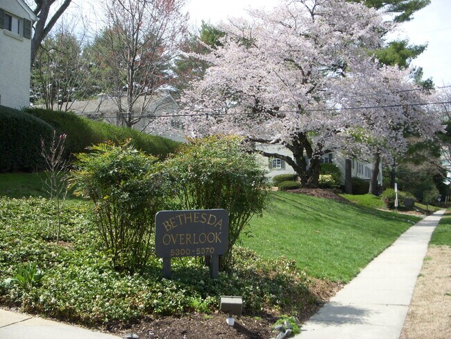 5358 Pooks Hill Rd in Bethesda, MD - Building Photo - Building Photo