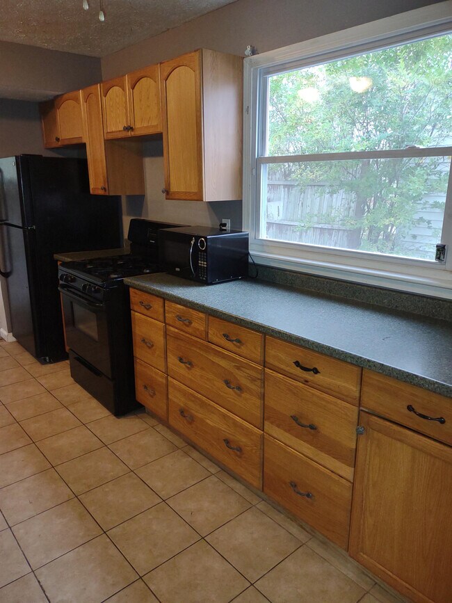 23312 Pam Ct in Euclid, OH - Foto de edificio - Building Photo