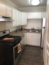 10211 Galway Dr in Dallas, TX - Building Photo - Building Photo