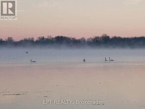 24 Lakeshore Rd in Georgina, ON - Building Photo - Building Photo