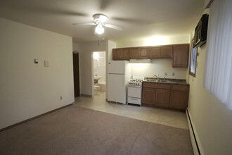 Minnehaha Apartments in Minneapolis, MN - Building Photo - Building Photo