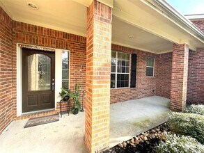 46 S April Mist Cir in Conroe, TX - Building Photo - Building Photo