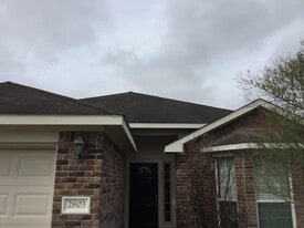 2803 Seastrand Ln in Dickinson, TX - Building Photo