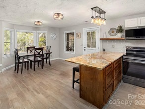 2 Little River Ln in Hendersonville, NC - Building Photo - Building Photo
