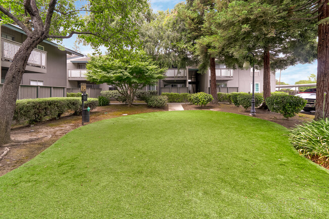 Coffeetree Apartments in Campbell, CA - Building Photo - Building Photo