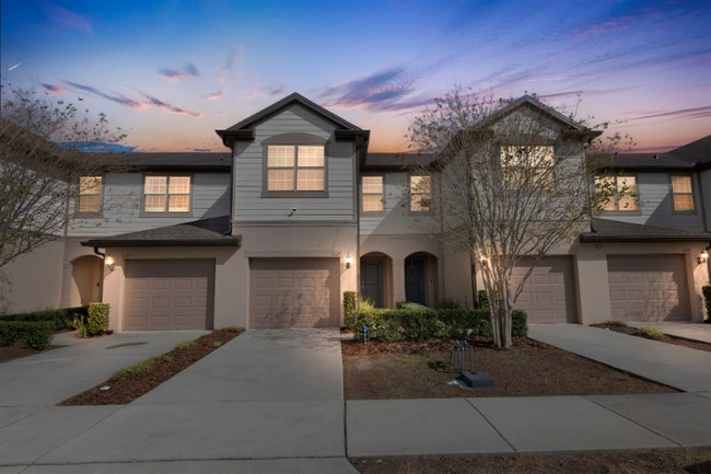 property at 1117 Pavia Dr