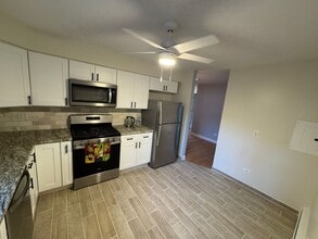1647 W Rascher Ave in Chicago, IL - Building Photo - Building Photo
