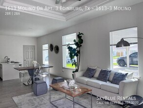 1613 Molino Dr in Edinburg, TX - Building Photo - Building Photo