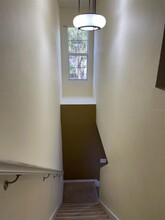 2950 Willowleaf Ln in Wesley Chapel, FL - Building Photo - Building Photo