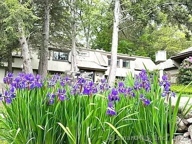 41 Mallard Dr in Avon, CT - Building Photo - Building Photo