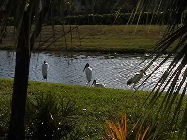 13450 Old Englishtown Rd in Wellington, FL - Foto de edificio