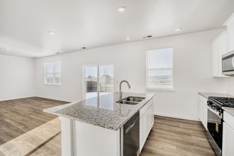 5961 Holstein Dr in Windsor, CO - Building Photo - Building Photo