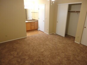 3314 W Placita De La Bajada in Tucson, AZ - Building Photo - Building Photo