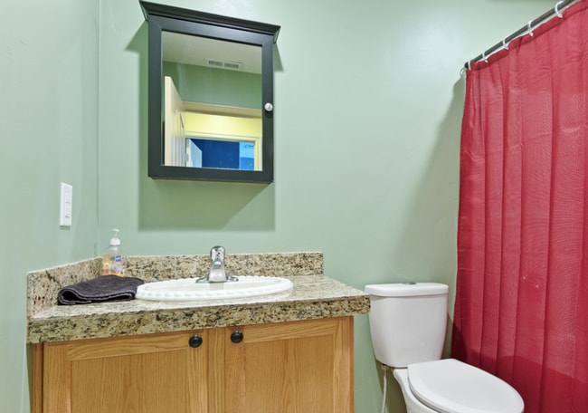 203 W Ferruginous Way in Saratoga Springs, UT - Building Photo - Building Photo