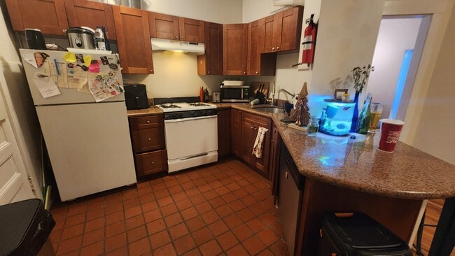 66 Egmont St, Unit 66-2 in Brookline, MA - Building Photo - Building Photo